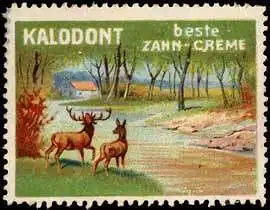 Kalodont Zahn-Creme