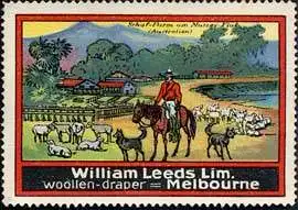 Schaf - Farm am Murrey FluÃ - Australien