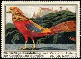 35. GeflÃ¼gelausstellung