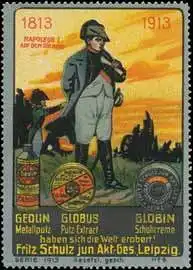 Napoleon auf dem Rückzug - Völkerschlacht