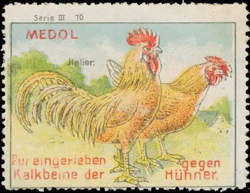 Italier Huhn