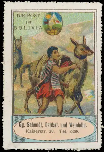 Die Post in Bolivia, Bolivien