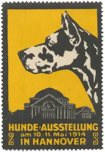 Dogge - Hunde-Ausstellung