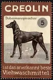 Dobermannpinscher