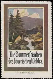 Bayrischer Wald