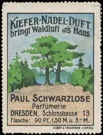 Kiefer-Nadel-Duft