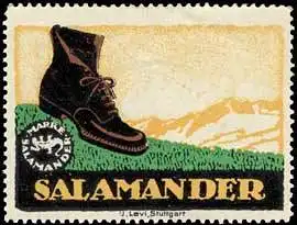 Salamander-Schuhe