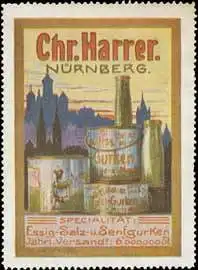 Essig-Salz- und Senf-Gurken