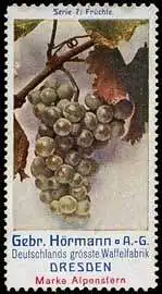 FrÃ¼chte - Weintraube