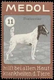 Foxterrier