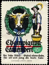 Champignon - Camembert KÃ¤se