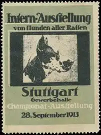 Hunde Ausstellung