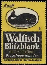 Walfisch Blitzblank