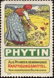 Phytin - Aus Pflanzen gewonnendes Kräftigungsmittel - Nervenstärkend, Blutbildend