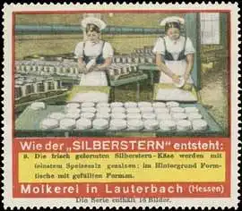 Silberstern Camembert KÃ¤se