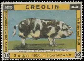 Tigerschwein