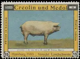 Landschwein veeredelt