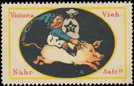 Victoria Viehnährsalz
