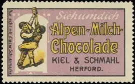 Sieh um dich Alpen-Milch-Schokolade