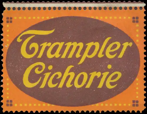 Trampler Cichorie
