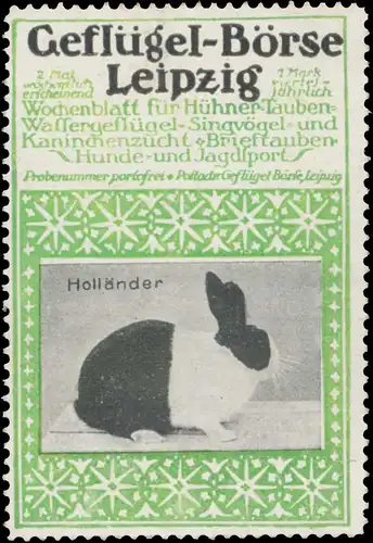 HollÃ¤nder Kanninchen