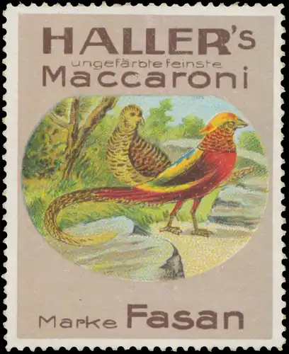 Hallers ungefÃ¤rbte feinste Maccaroni Marke Fasan