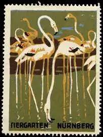 Flamingos