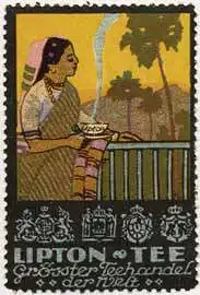 Lipton-Tee