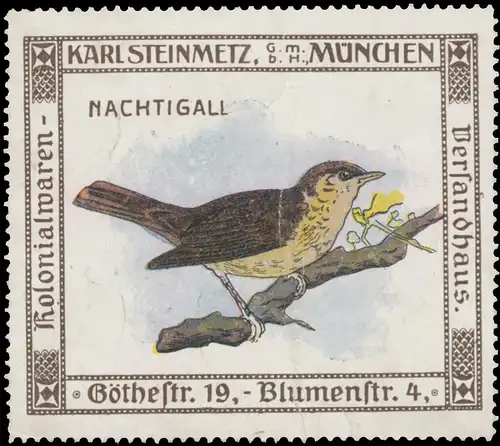 Nachtigall