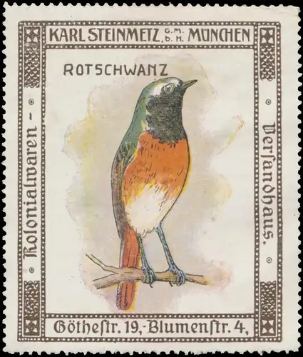 Rotschwanz