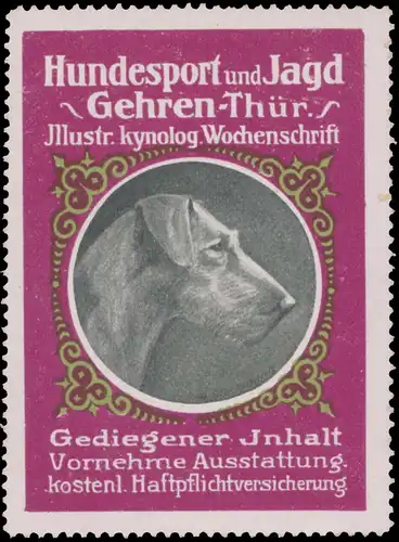 Terrier