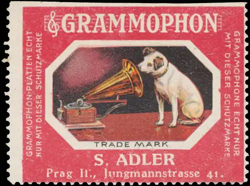 Hund sitzt vorm Grammophon
