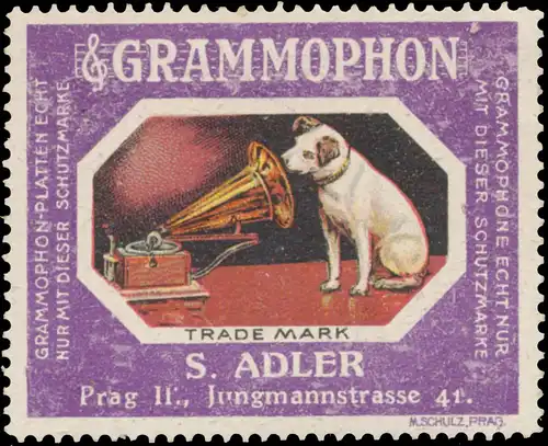 Hund sitzt vorm Grammophon