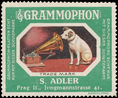 Hund sitzt vorm Grammophon
