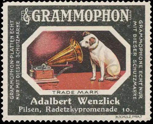 Hund sitzt vorm Grammophon