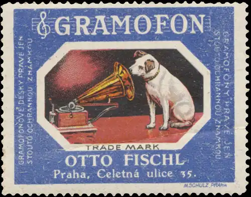 Hund sitzt vorm Grammophon