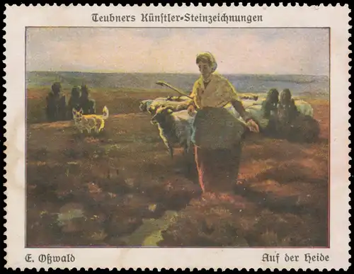 E. OÃwald: Auf der Heide