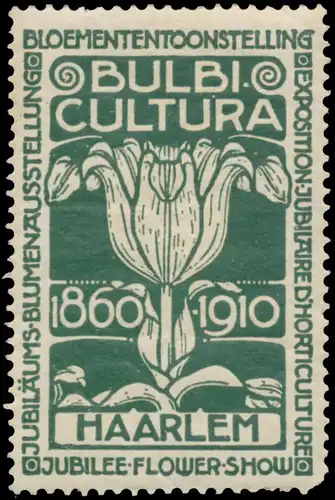 Bulbi Cultura