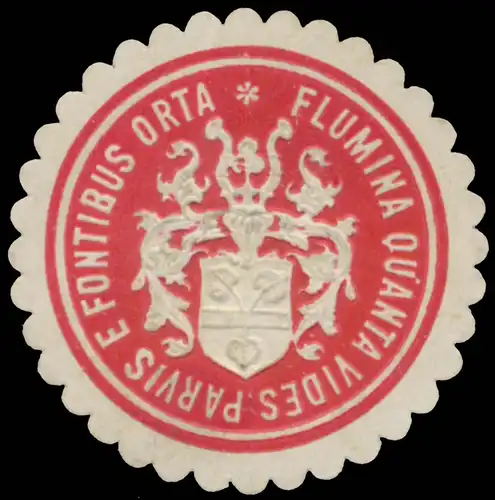 Flüsse, die so klein sind, wie Sie sehen, entspringen aus Quellen