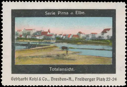 Totalansicht von Pirna an der Elbe