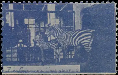 Zoo