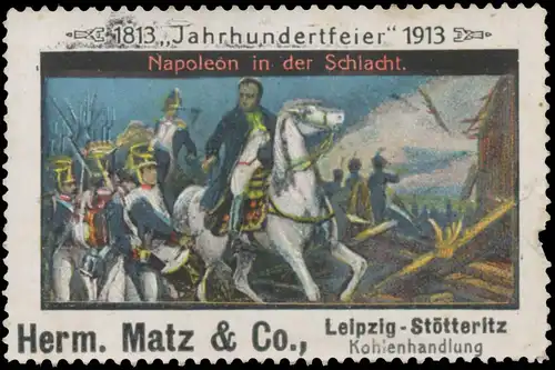 Napoleon in der Schlacht