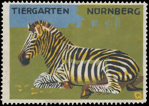 Zebra