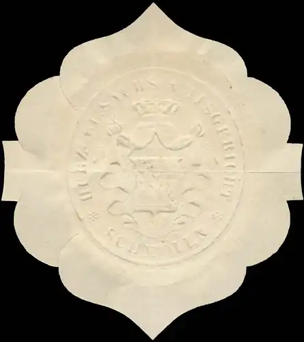 Herz. Sächs. Amtsgericht Schmölln