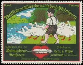 Bettfedern-WÃ¤sche