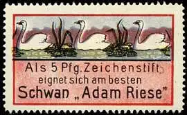 Schwan-Zeichenstift Adam Riese