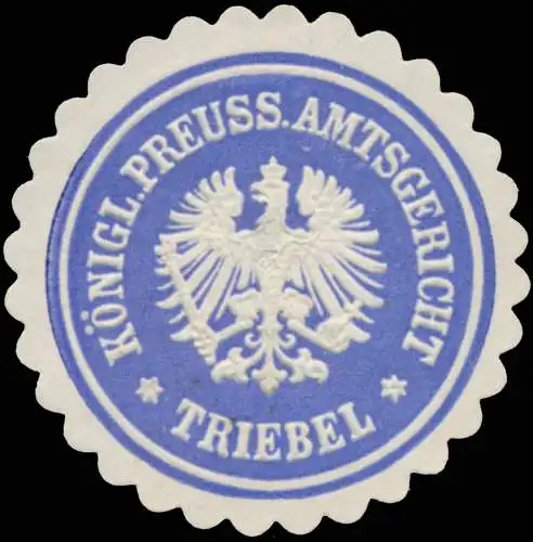 K.Pr. Amtsgericht Triebel