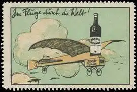 Im Fluge durch die Welt!