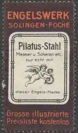 Pilatus-Stahl