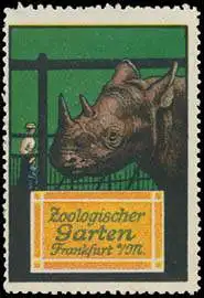 Nashorn Zoologischer Garten - Zoo